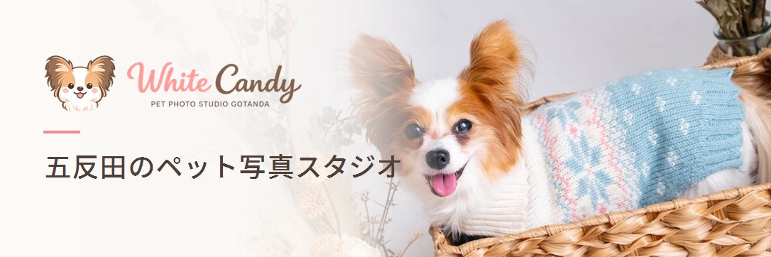 ペット写真スタジオ WhiteCandy